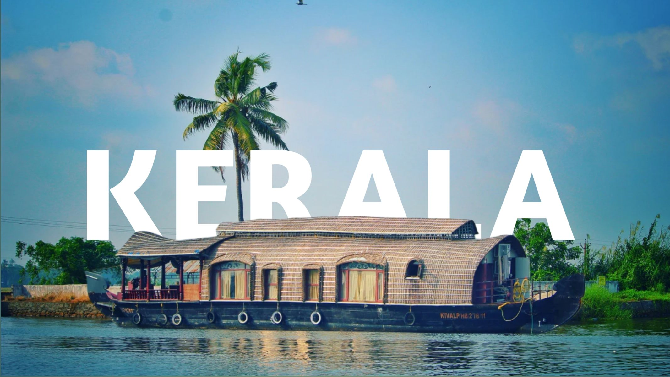 Medical Tourism
